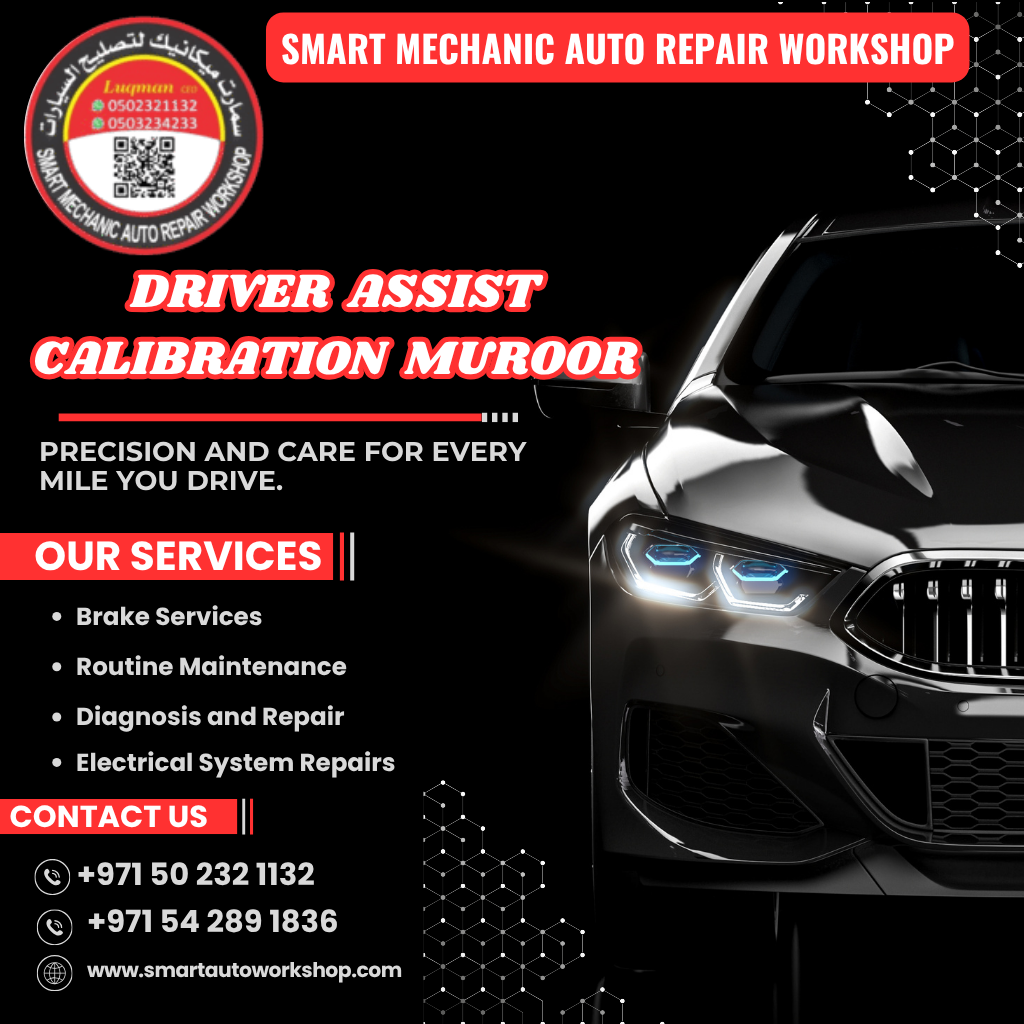 Driver Assist Calibration Muroor